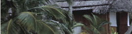 www.traveljungle.co.uk